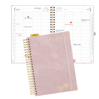POPRUN 2027 Daily Planner Soft Pink